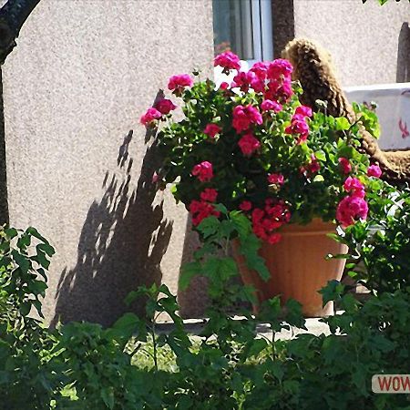 Ferienwohnung Greim Sankt Peter am Kammersberg Buitenkant foto