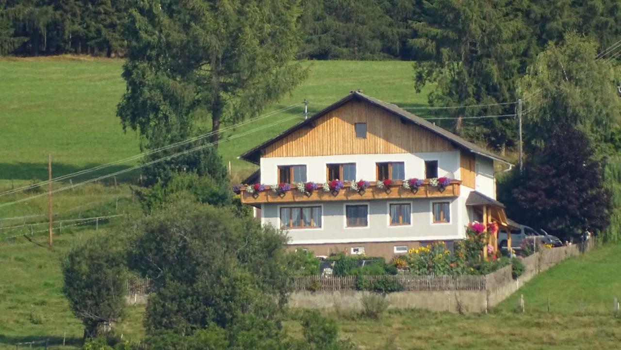 Ferienwohnung Greim Sankt Peter am Kammersberg Buitenkant foto